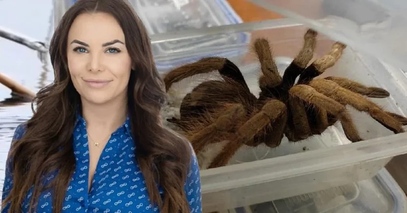 Kiracısına canlı tarantula attı, siyasi kariyeri bitti Sözcü Gazetesi