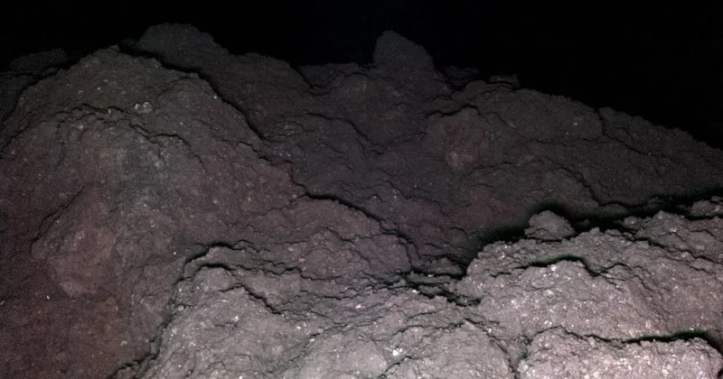 Yaşamın temel yapı taşları bulundu Sözcü Gazetesi