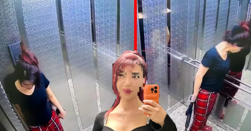 SON DAKİKA: İstanbul da kan donduran görüntüler! Pijamalarıyla asansöre bindi, pompalı tüfekle dehşet saçtı!