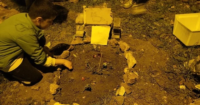 Nusaybin de çocuklardan telef olan kediye anlamlı veda Mardin Haberleri