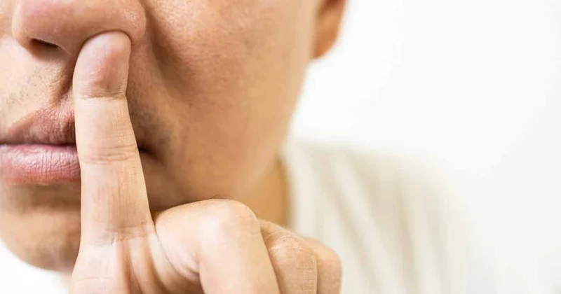 Burun karıştırmak düşündüğünüzden çok daha tehlikeli: Kan beyin bariyerini atlıyorlar Sözcü Gazetesi