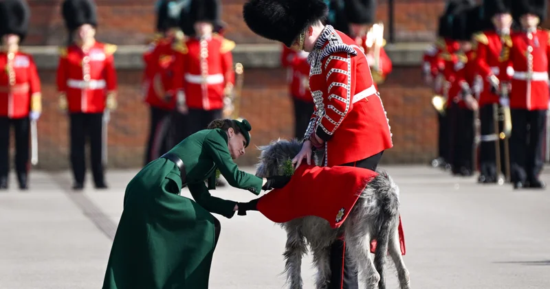 Prenses Kate Aziz Patrick Günü nde maskot kurt köpeğini selamladı