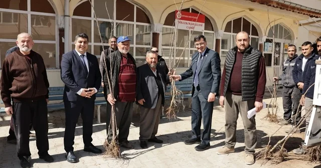 Kütahya da yerel kiraz türleri yeniden toprakla buluşuyor Kütahya Haberleri