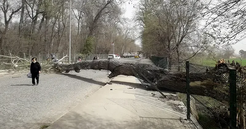 Marmara nın batısı için fırtına uyarısı