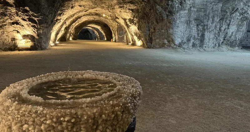 TCDD özel tren kaldırdı: Akın akın görmeye gittiler