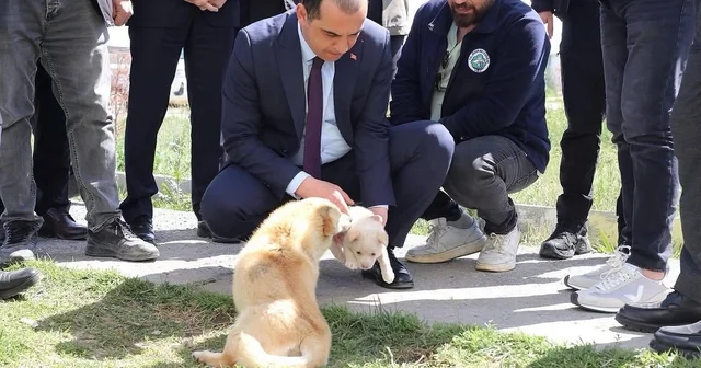 Vali Taşolar, Iğdır Geçici Hayvan Bakımevi ni ziyaret etti Iğdır Haberleri