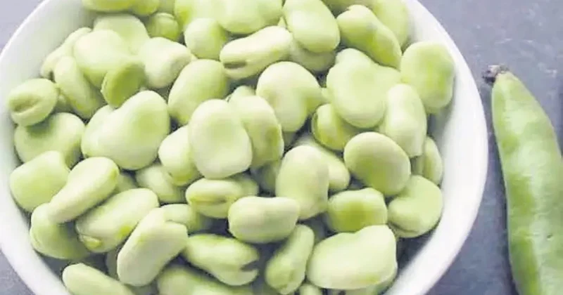 İDİL AÇIKALIN Vitamin deposu bakla