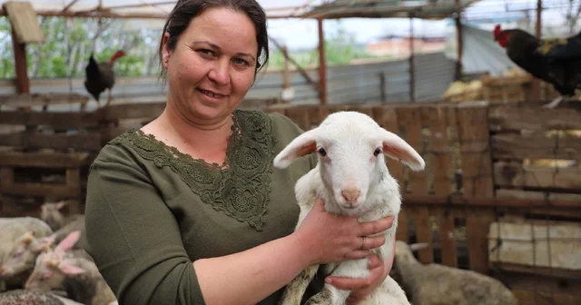 Babasının hediye ettiği kuzuyla çiftlik kurdu İzmir Haberleri