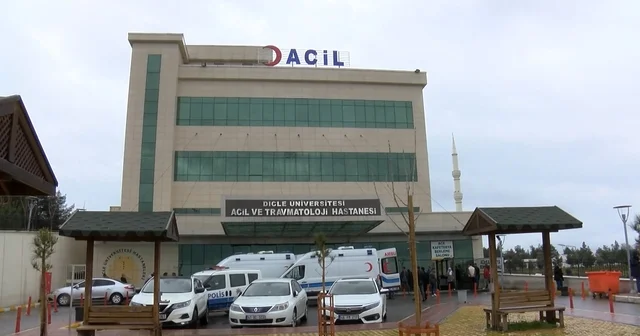 Elektrik direğine yıldırım düştü, yoldan geçen kadın yaralandı Diyarbakır Haberleri