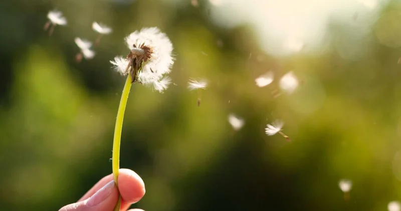 4 7 8 nefes tekniği nedir?