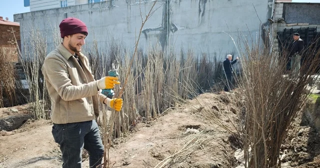 Ahlat ta meyve fidanlarına ilgi Bitlis Haberleri