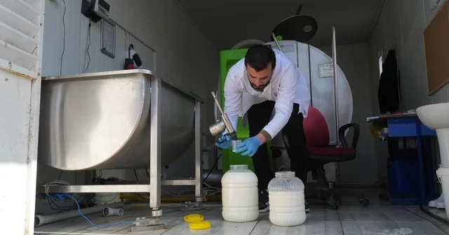 Muş ta çiğ süt soğuk zincir projesi hayata geçti Muş Haberleri