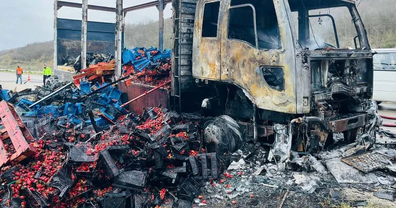 Çilek yüklü kamyon alev alev yandı