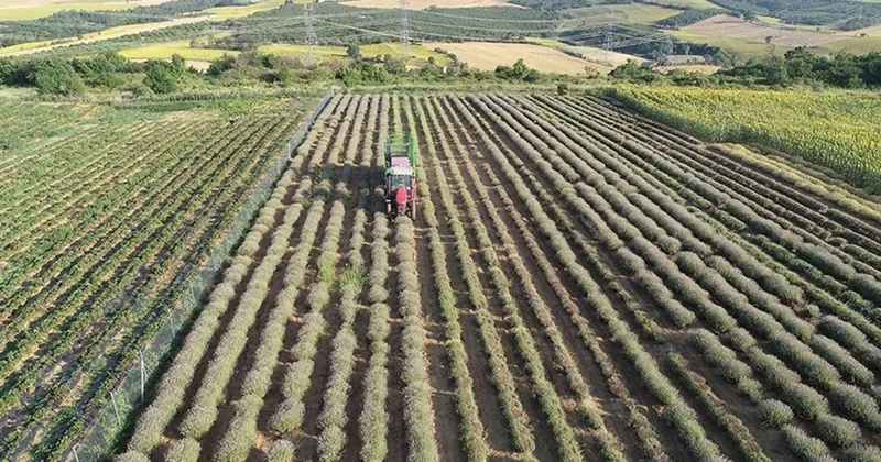 Tek bir damla su istemeden servet kazandırıyor Sözcü Gazetesi