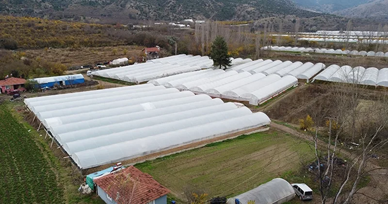 Meğer en sağlıklı besinlerden biriymiş, kimse fark etmemiş Sözcü Gazetesi