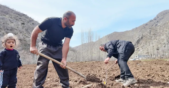 Şırnaklı çiftçi devlet desteğiyle bütün arazisine meyve fidanı dikti Şırnak Haberleri