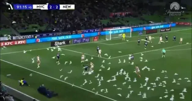 Avustralya Ligi’nde ilginç anlar: Sahayı martılar bastı