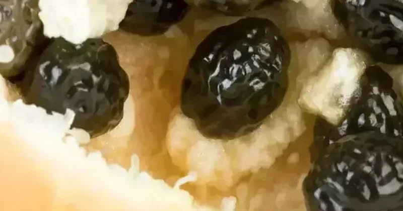 Göklerden gelen bir armağan olarak görülüyor: Tanesi 400 liradan satılıyor Sözcü Gazetesi