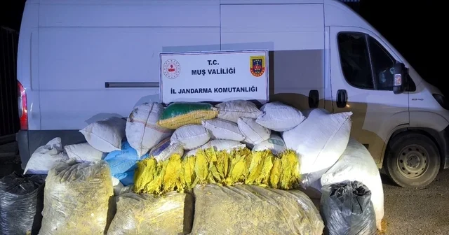 Muş ta 1 ton 200 kilogram bandrolsüz tütün ele geçirildi Muş Haberleri