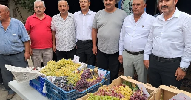 Avşar Üzümü coğrafi işaretle tescillendi Denizli Haberleri