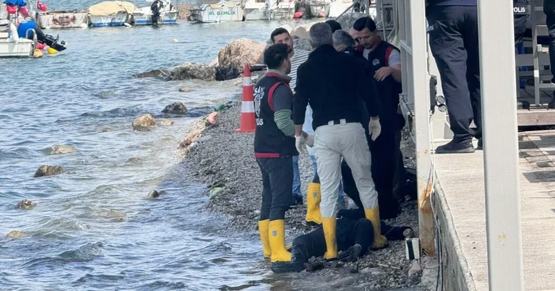 Sabah yürüyüşüne çıkanlar ceset buldu: Kimliği belli oldu Sözcü Gazetesi