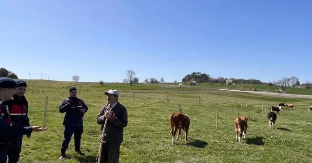 Bilecik te hayvan hırsızlığı ve dolandırıcılık uyarısı Bilecik Haberleri