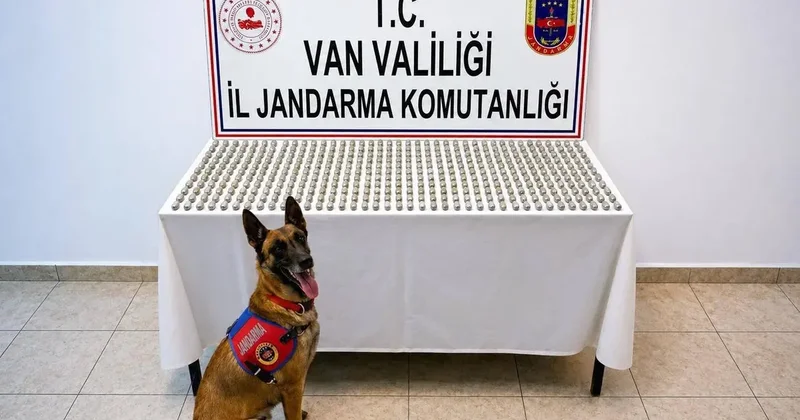 Van’da 8 İranlı’nın midesinde 3 kilo esrar ele geçirildi