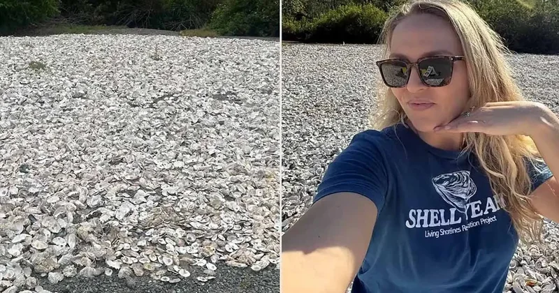 Her sabah restoran çöplerinden torba torba istiridye kabukları topladı nedeni vay be dedirtti Sözcü Gazetesi