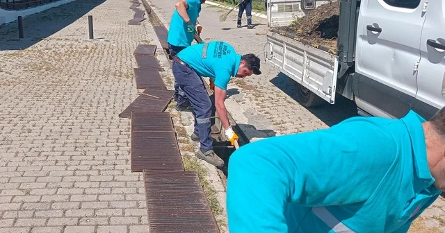 Hayvan pazarında bayram mesaisi başladı Efeler Belediyesi, pazarı bayrama hazırladı Aydın Haberleri