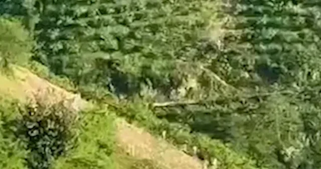 Giresun da dehşet anları: Otomobil yüzlerce metrelik uçurumdan yuvarlandı VİDEO İZLE