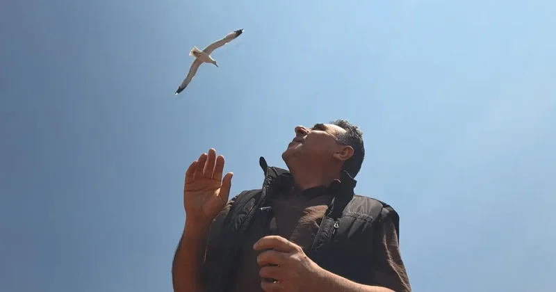Zeytinburnu nda anten tamiri için çatıya çıktı, martıların saldırısına uğradı