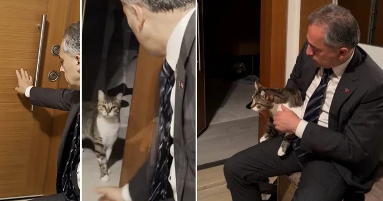 Evin anahtarını unuttu, kapıyı Fred açtı! Kediniz varsa anahtara ihtiyaç yok