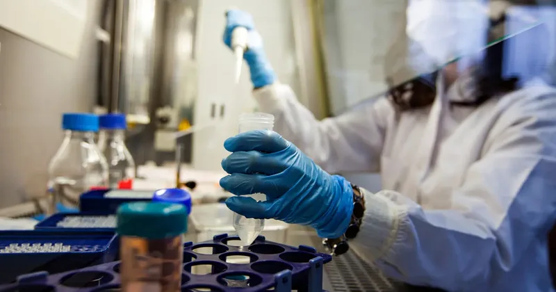 Ebola alarmı: DSÖ küresel acil durum ilan etti