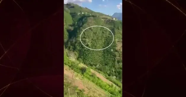 Giresun da uçurumdan yuvarlanan araç paniğe neden oldu