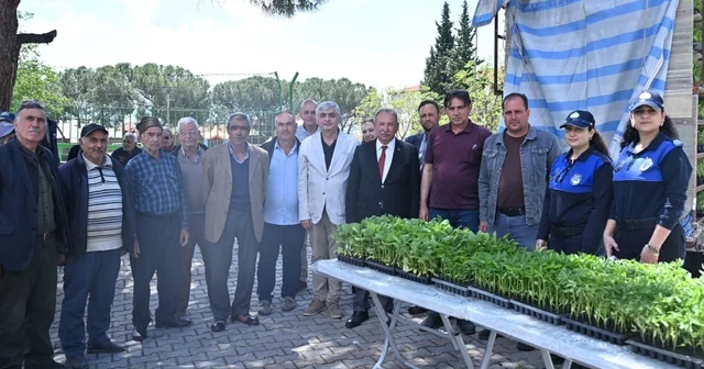 Salihlili üreticilere 34 bin sebze fidesi Manisa Haberleri