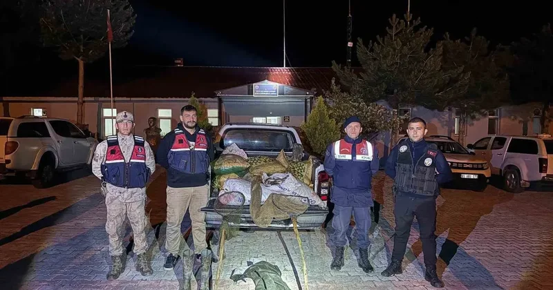 Muradiye’de 630 kilo inci kefali ele geçirildi