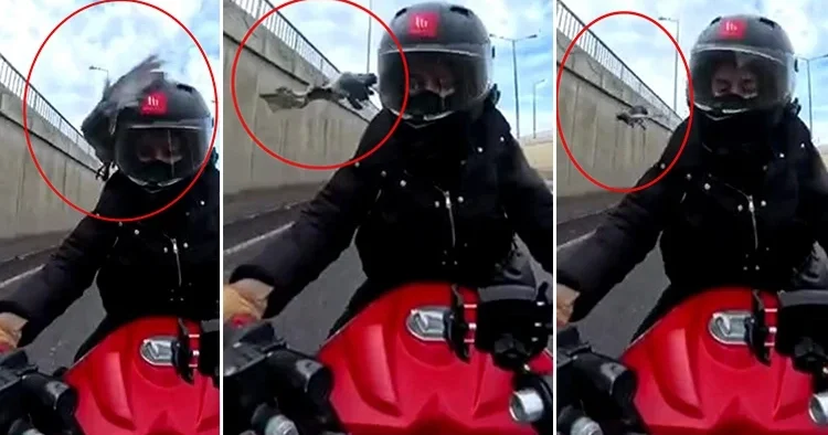 Seyir halindeki motosiklet sürücüsü neye uğradığını şaşırdı