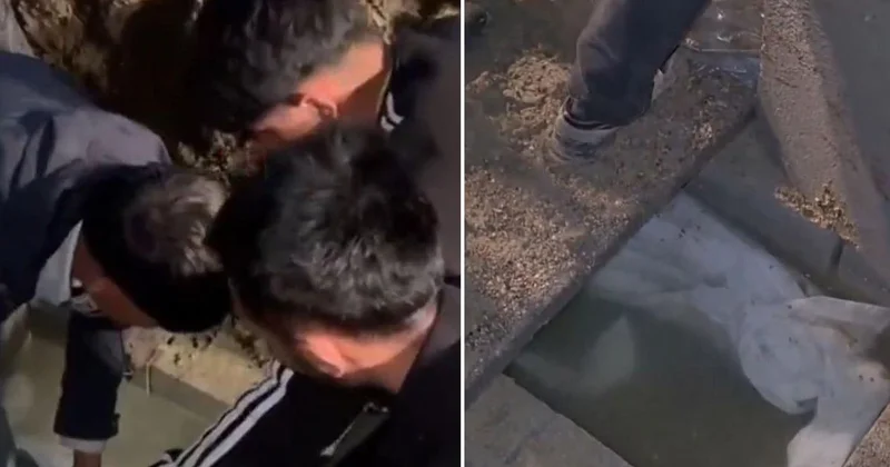 Görüntü Türkiye den! Mezarlıkta bir garip olay: Cenazeyi gömüldüğü yerden çıkardılar