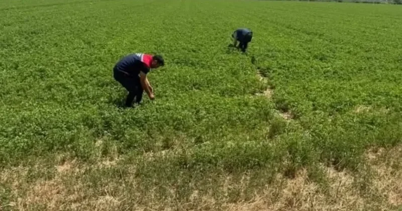 Aydın’da kuraklıkla mücadele çalışmaları sürüyor