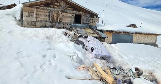 Yayla evlerini kırdı döktü; ormanda dinlenirken drone kamerasına yakalandı Rize Haberleri