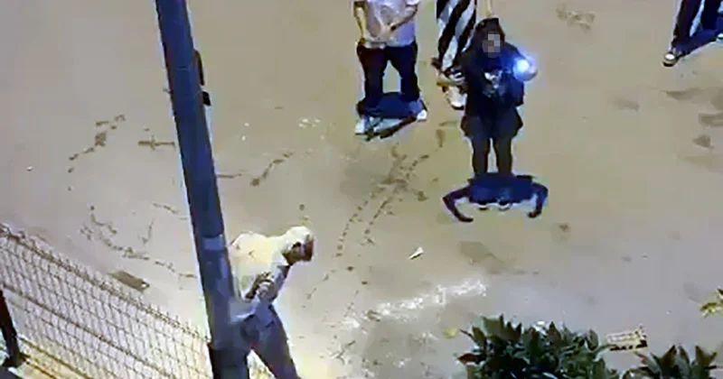 Aydınlatma direğine bağlayıp, üzerine un ve sıvı yağ döktüler