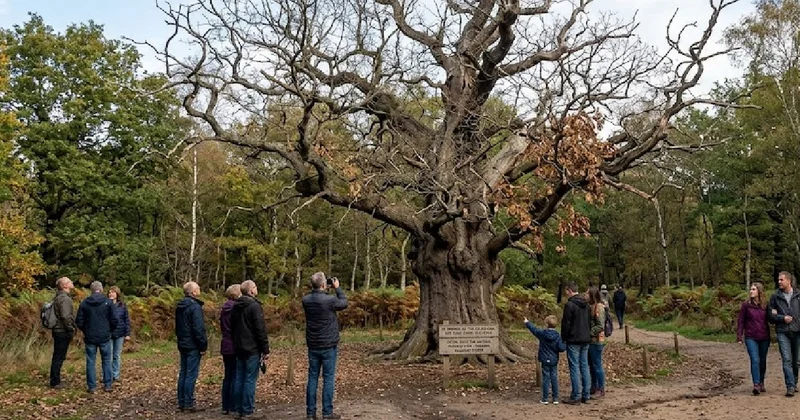 1200 yıllık efsaneyi turistler öldürdü Sözcü Gazetesi