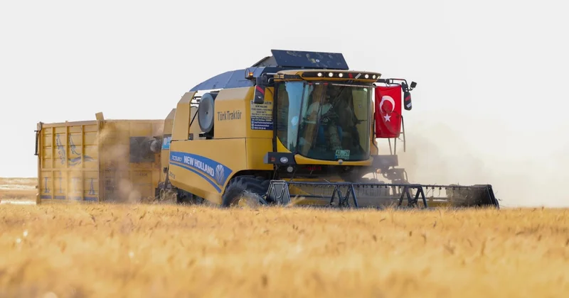 Devasa alanda hasat başladı: Hedef 709 bin ton Sözcü Gazetesi