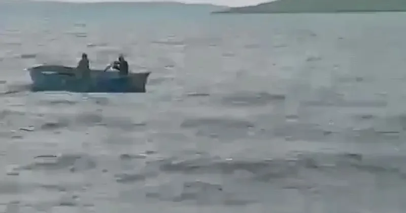 Çıldır Gölü’ne atlayan buzağı sandalla kurtarıldı; o anlar kamerada