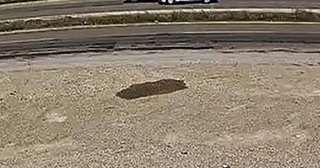 Başka bir aracın çarptığı otomobil, narenciye bahçesine devrildi: 2 si çocuk, 4 yaralı Adana Haberleri Habertürk Yerel Haberler