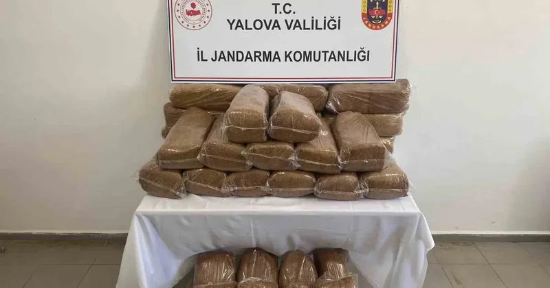 Yalova’da 160 kilo kaçak tütün ele geçirildi