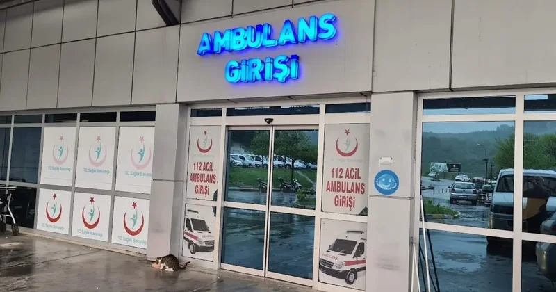 Arı sokması sonucu yoğun bakıma kaldırıldı