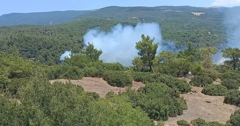 Çine’deki yangın söndürüldü