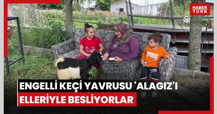 Engelli keçi yavrusu Alagız ı elleriyle besliyorlar