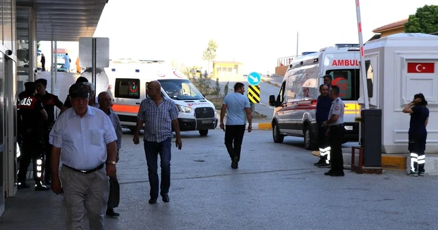 Arı sokmasına bağlı ciddi alerjik reaksiyonlar ölüme sebep olabilir Erzincan Haberleri Habertürk Yerel Haberler